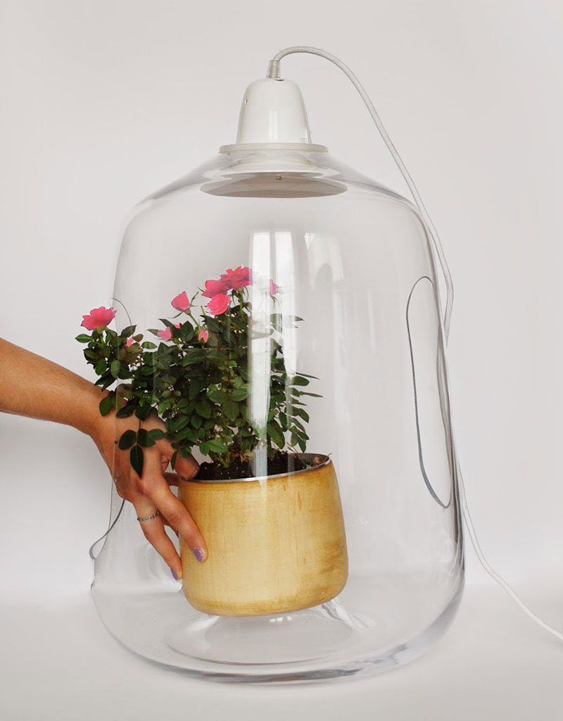 These Glass Lamps Put Your Plants On Display CONTEMPORIST