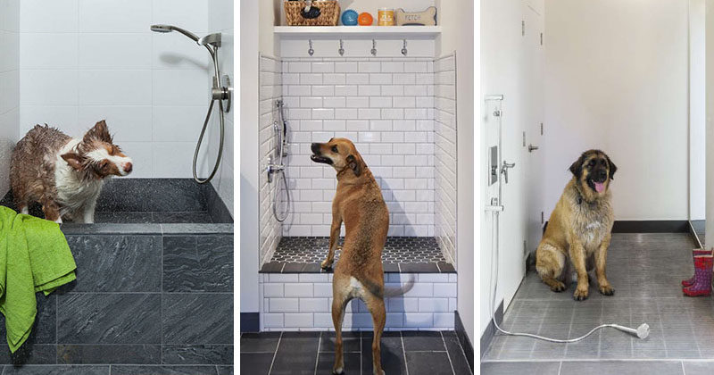 dog wash at home