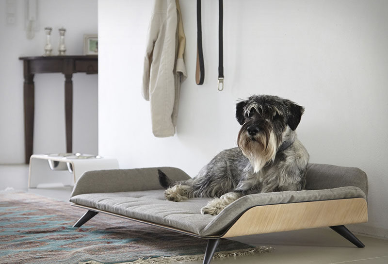 wooden dog beds with legs