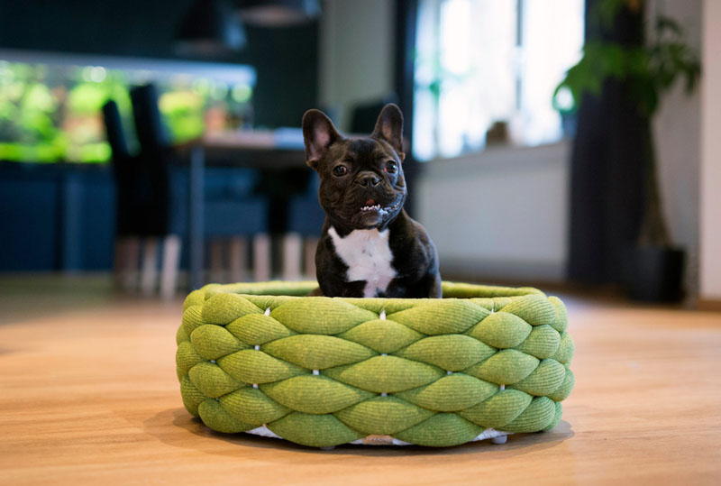 These Woven Pet Beds Give Your Fur Friends A Secure Place To Sleep