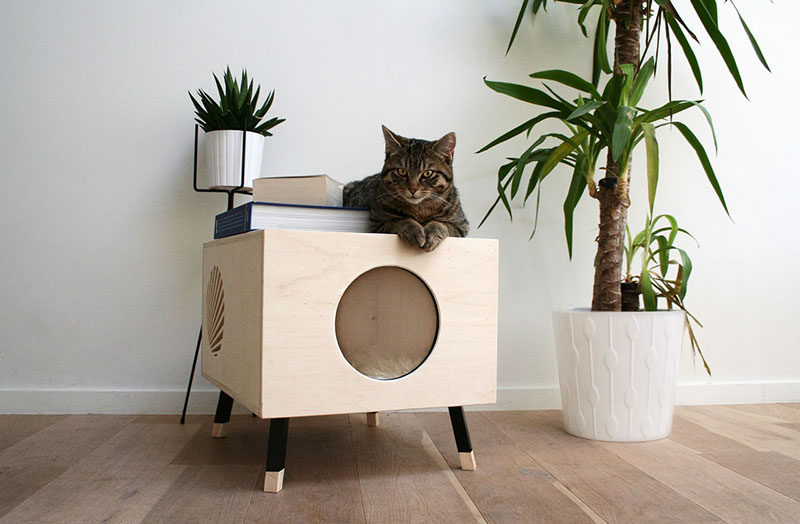 This Minimalist Modern Cat Bed Doubles As A Functional Side Table