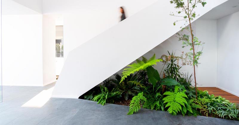 An Indoor Garden Makes Use Of The Space Under These Stairs