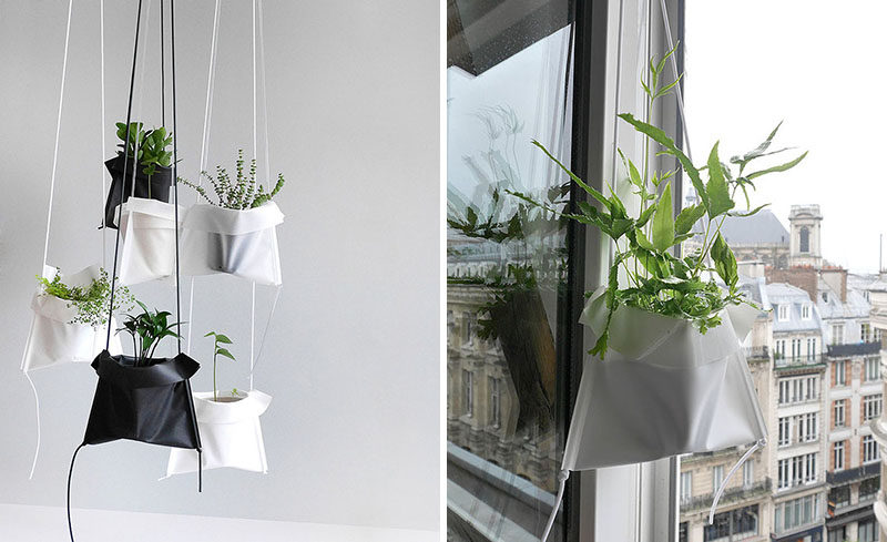 Indoor Garden Idea Hang Your Plants From The Ceiling Walls