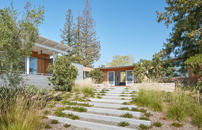 This wood clad and sloped roof modern house was designed for life in ...