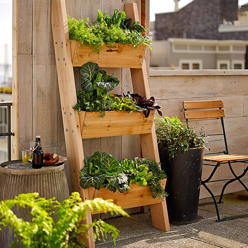 5 Vertical Vegetable Garden Ideas For Beginners | CONTEMPORIST