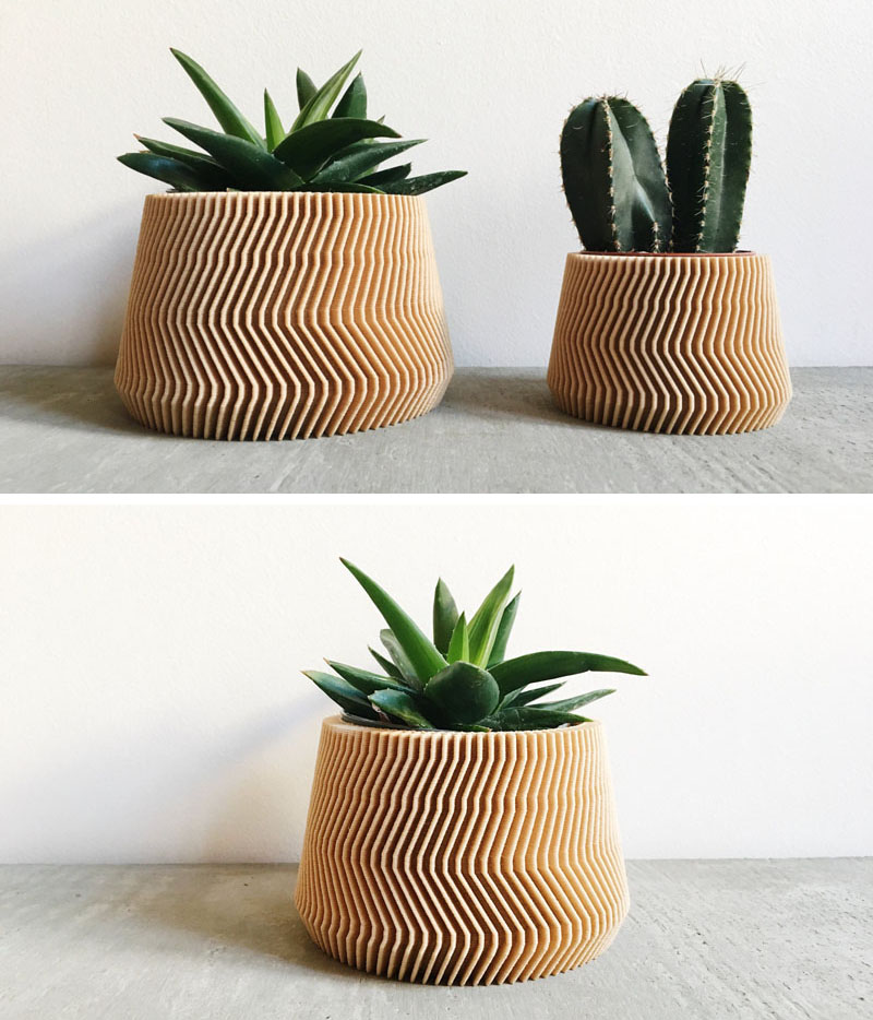 These Biodegradable Planters Are Made From 3D Printed Wood