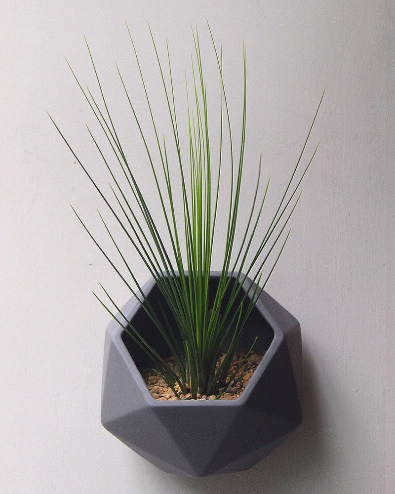 10 Modern  Wall  Mounted Plant  Holders To Decorate Bare Walls 
