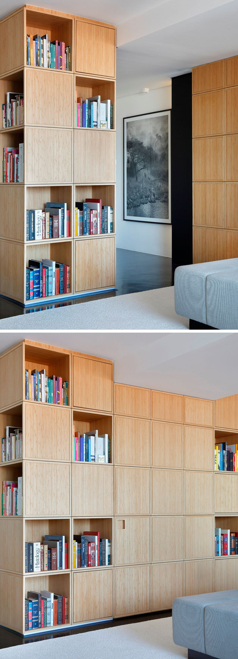 a-central-bookcase-hides-the-entrance-in-this-apartment