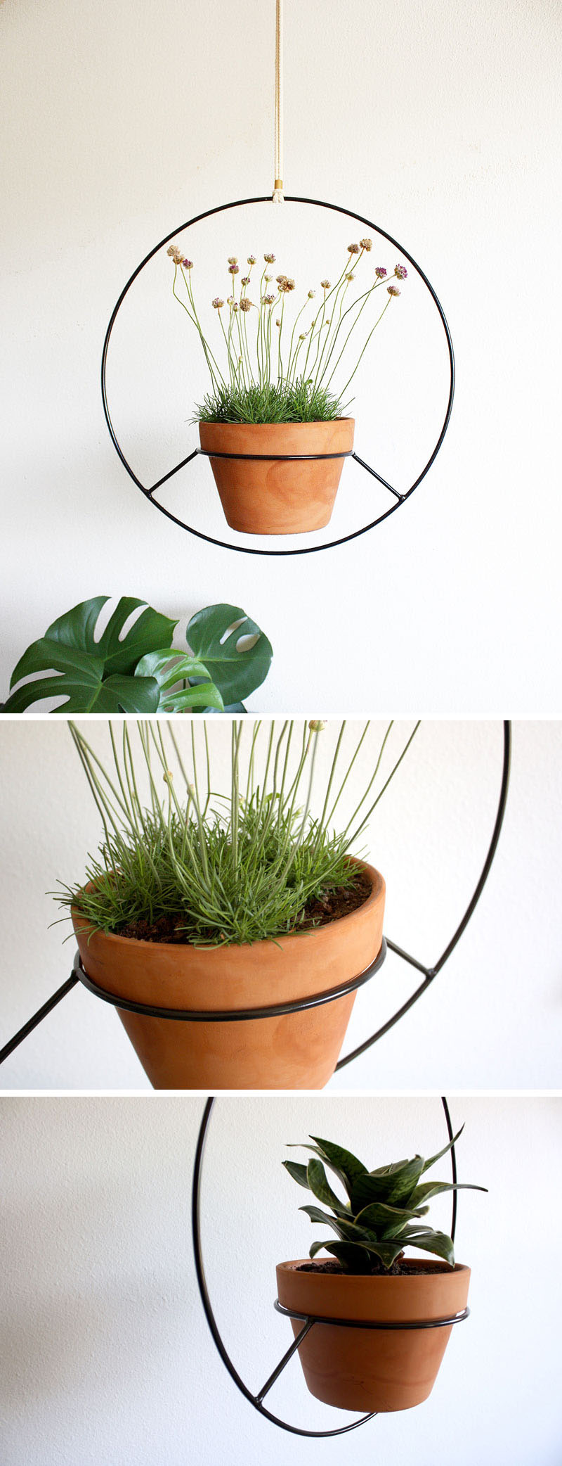 These Hanging Planters Are Designed To Put A Distinct Focus On Your Plants