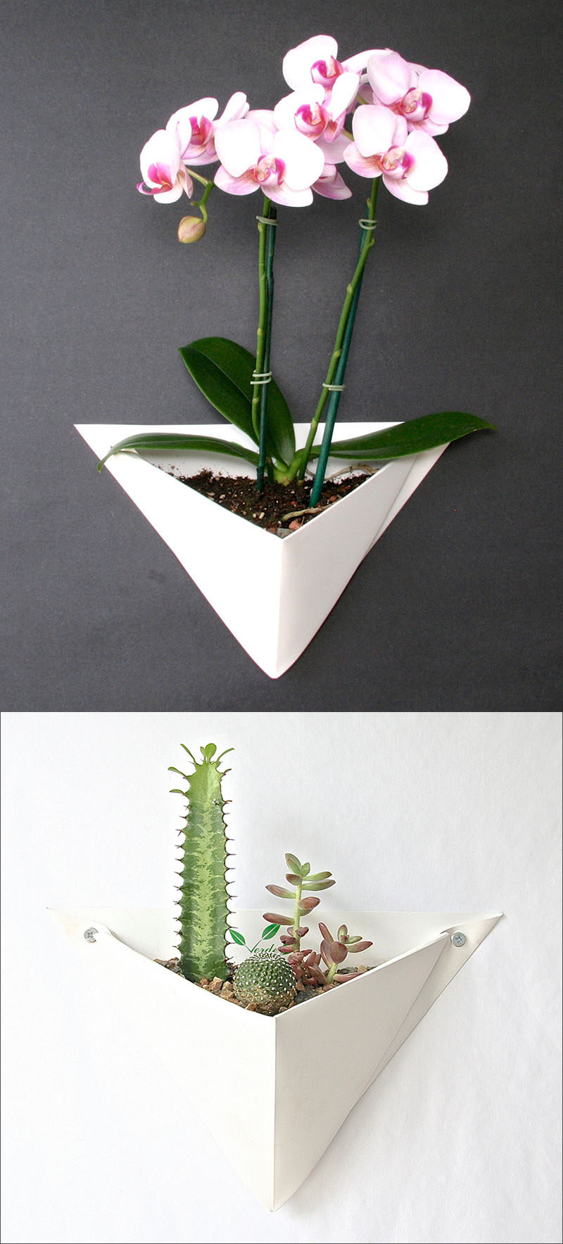 10 Modern  Wall  Mounted Plant  Holders To Decorate Bare Walls 