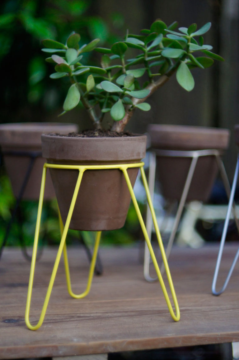 These 13 Modern Plant Stands Put Your Favorite Plants On Display