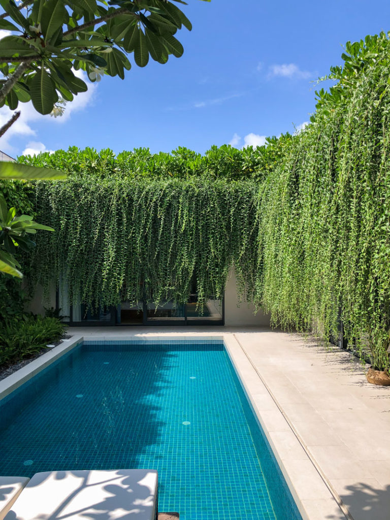 Hanging Gardens Create A Private Oasis For These Modern Villas