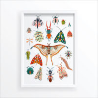 Wall Art Idea - Modern Bug Art Prints By Amber Davenport