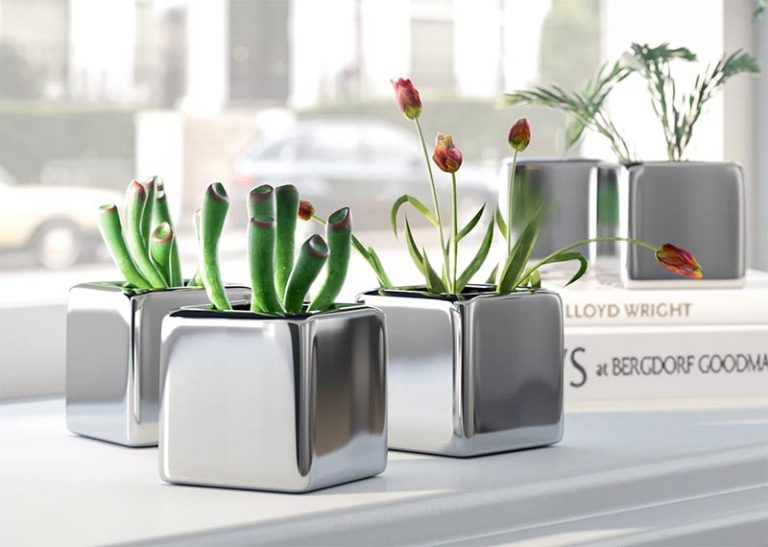 9 Modern Succulent Pots To Show Off Your Tiny Plants