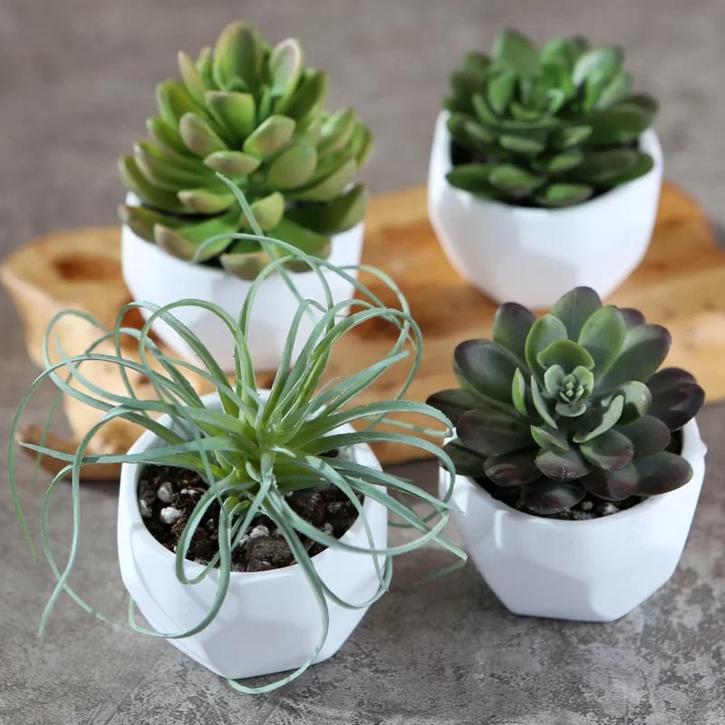 9 Modern Succulent Pots To Show Off Your Tiny Plants