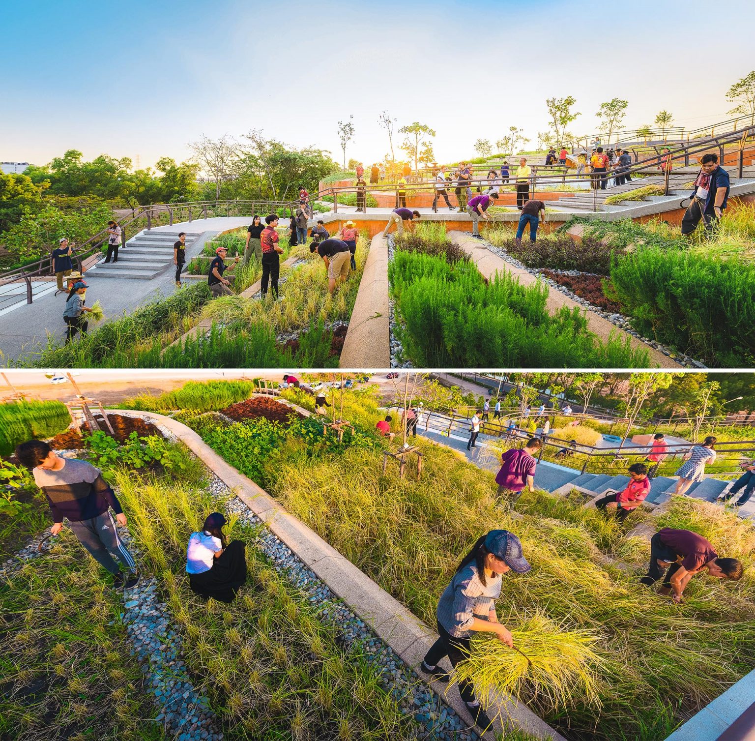 An Impressive Urban Farm Has Been Created On This Building's Rooftop