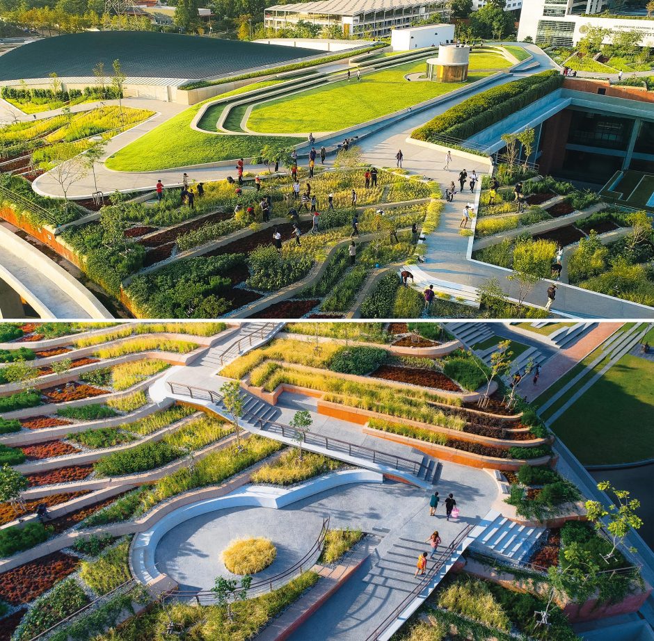 An Impressive Urban Farm Has Been Created On This Building's Rooftop