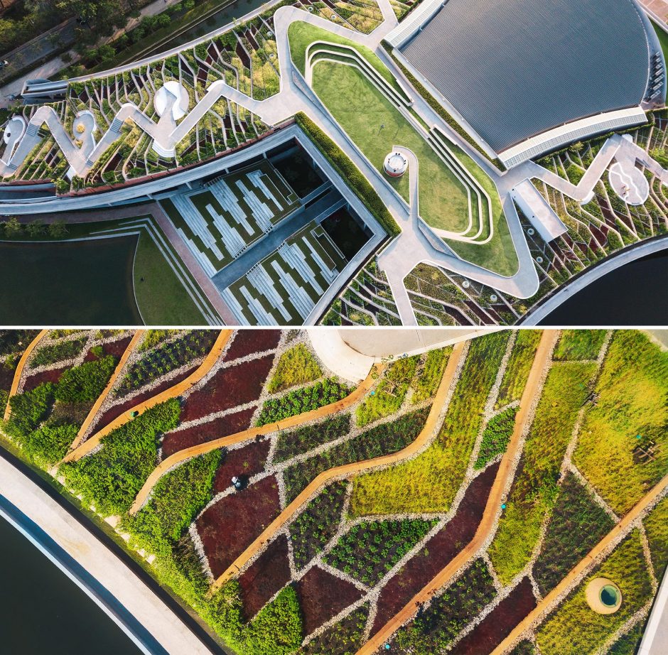 An Impressive Urban Farm Has Been Created On This Building's Rooftop