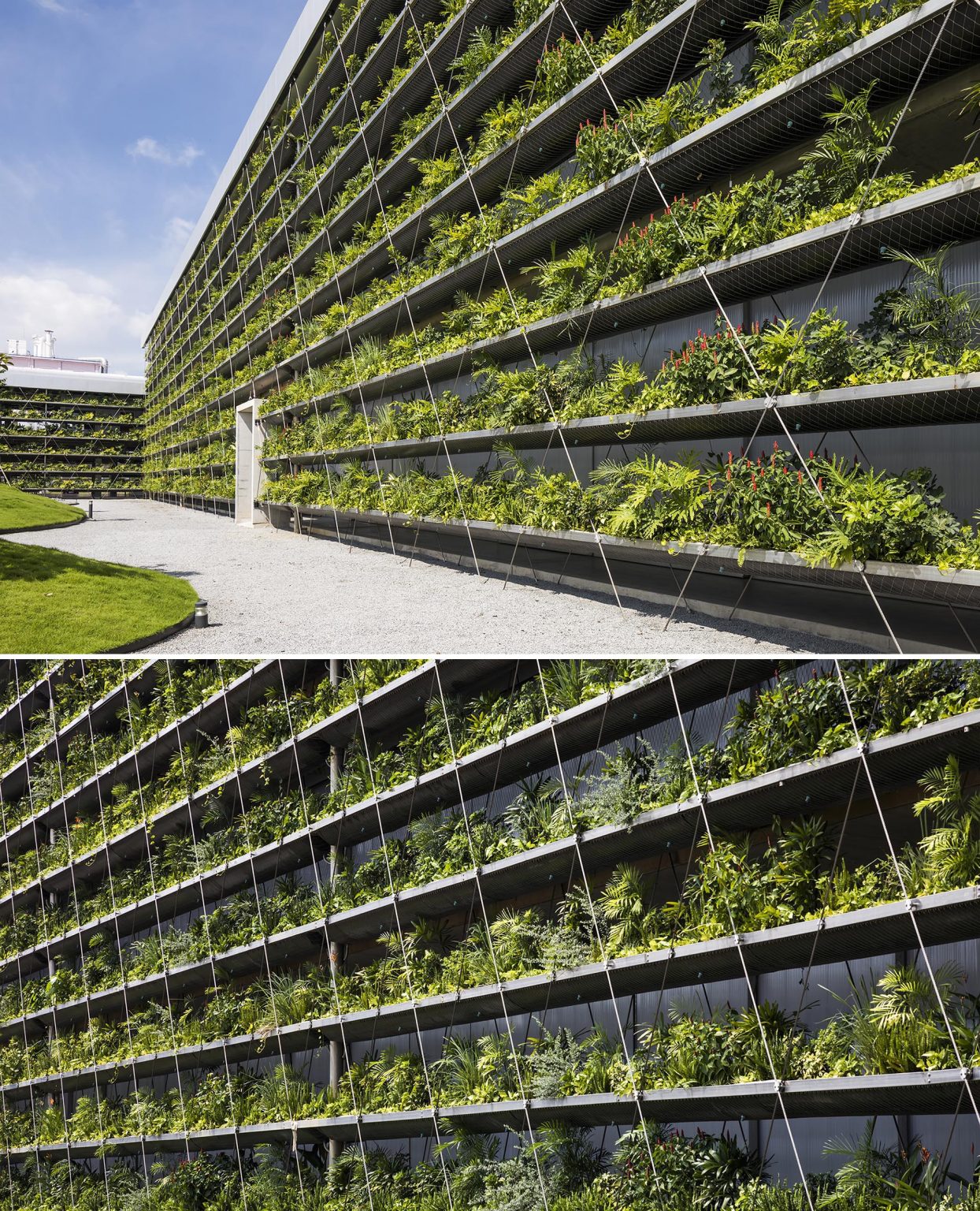 Rows Of Plants Line The Exterior Of This Factory Building