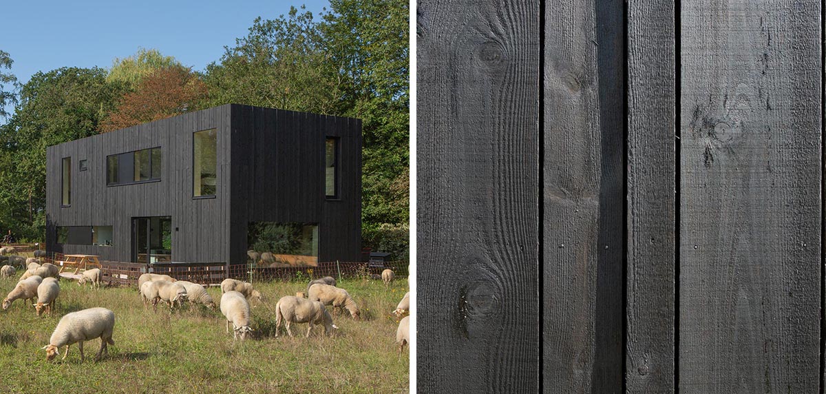 This Prefab Home With A Black Wood Exterior And Matching Black Window Frames Makes A Bold Statement