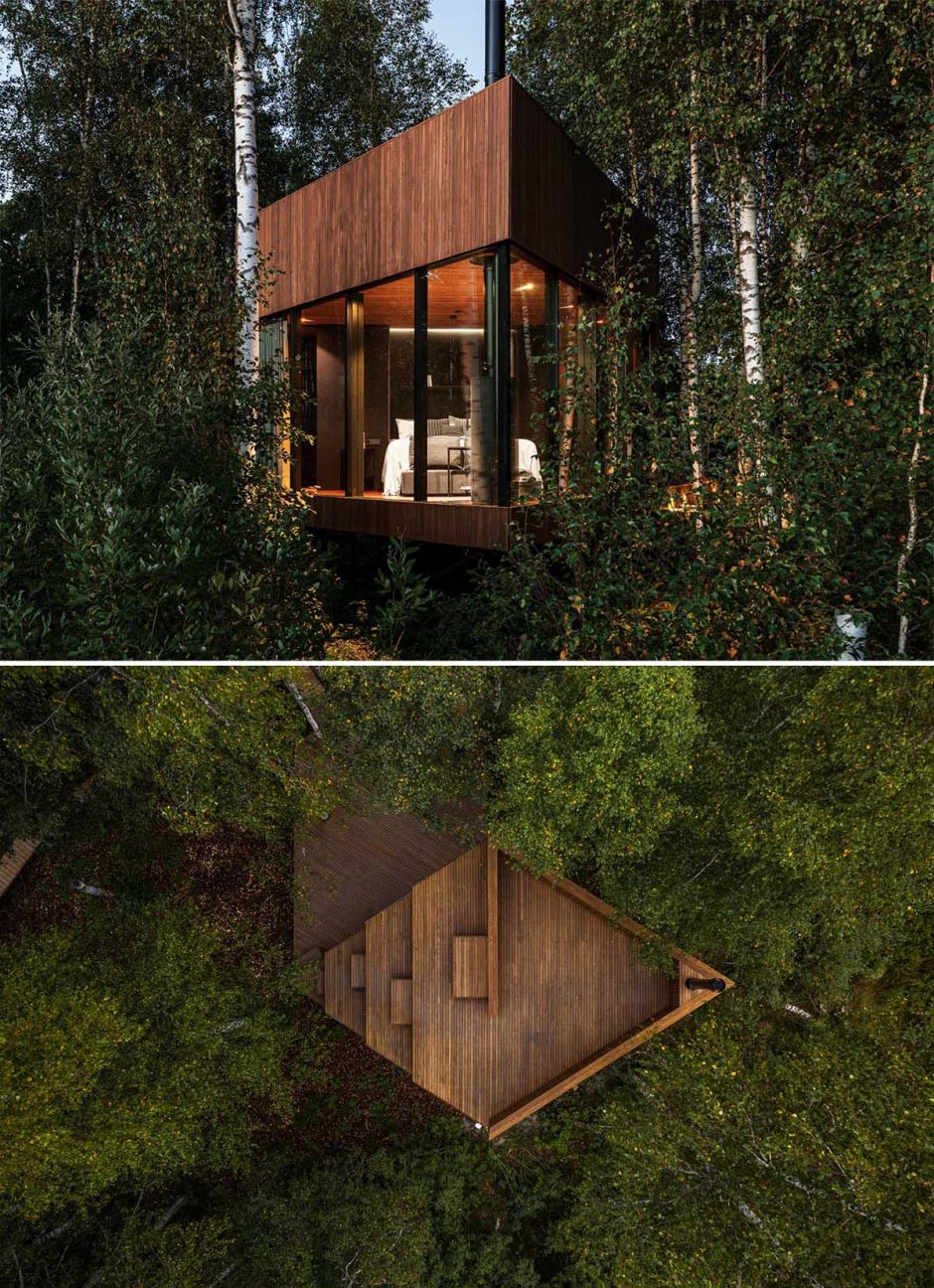 Walls Of Windows On This Cabin Allow For Views Of The Surrounding Forest