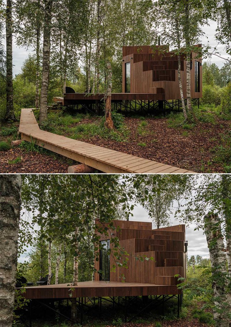 Walls Of Windows On This Cabin Allow For Views Of The Surrounding Forest