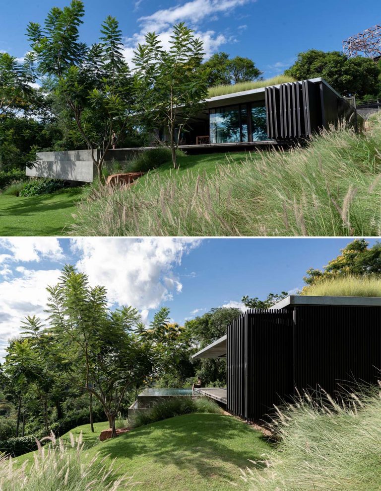 The Green Roof On This Home Has Tall Grasses Surrounding A Seating Area