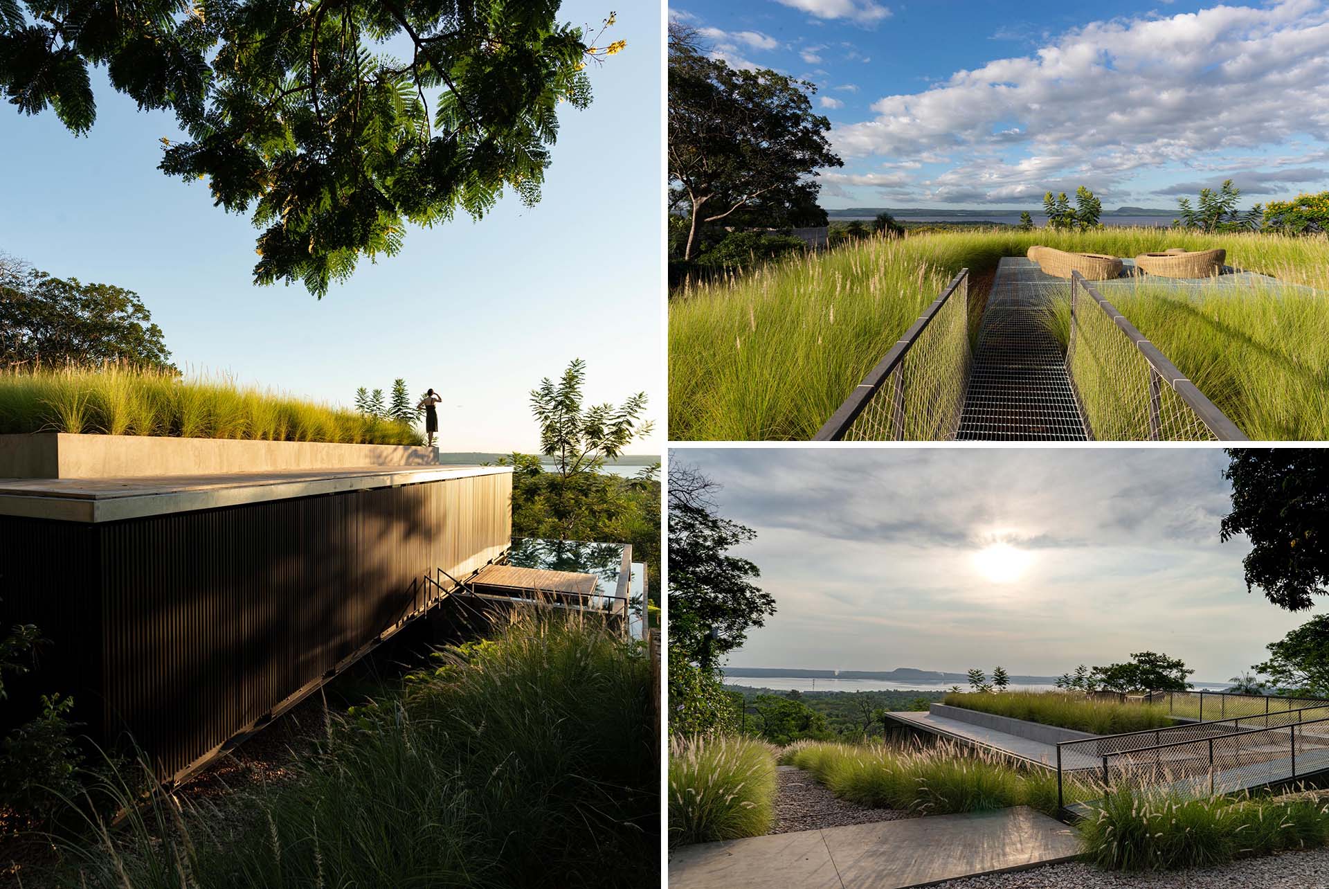 This modern rooftop patio is surrounded by grasses and is furnished with a pair of low day beds. From the rooftop, you can see the surrounding landscape and views of the water.
