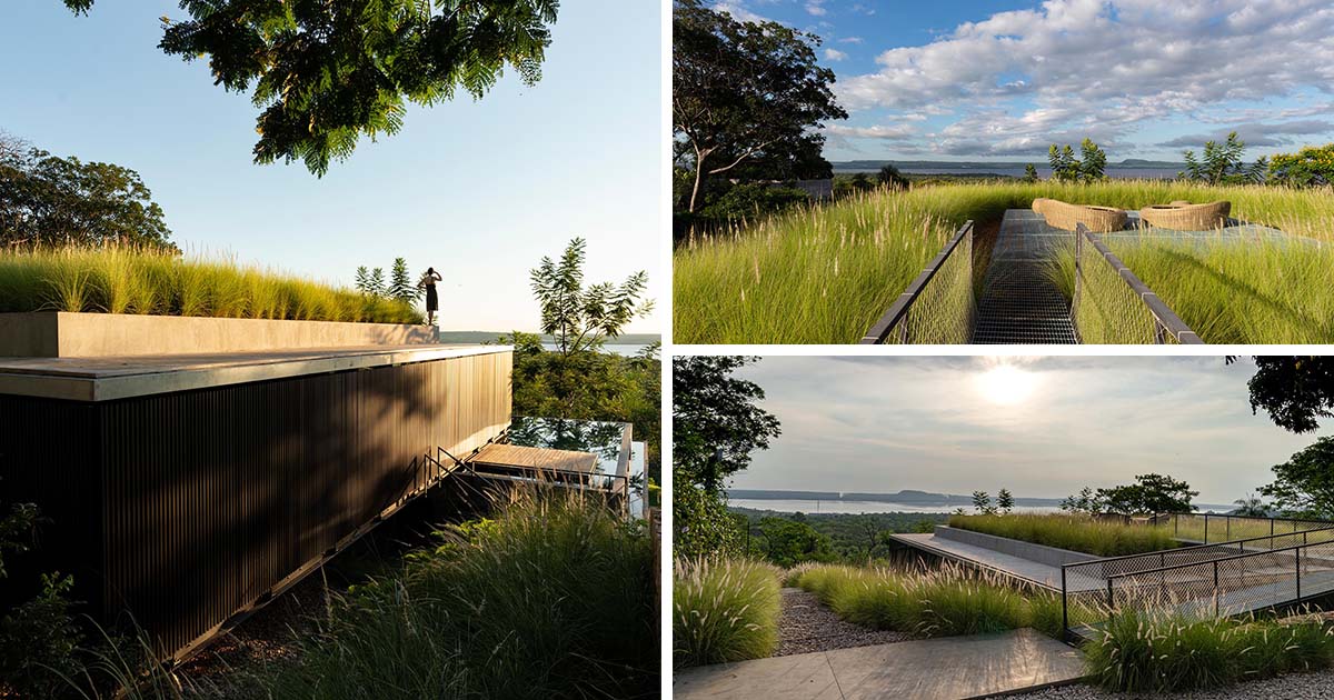 The Green Roof On This Home Has Tall Grasses Surrounding A Seating Area