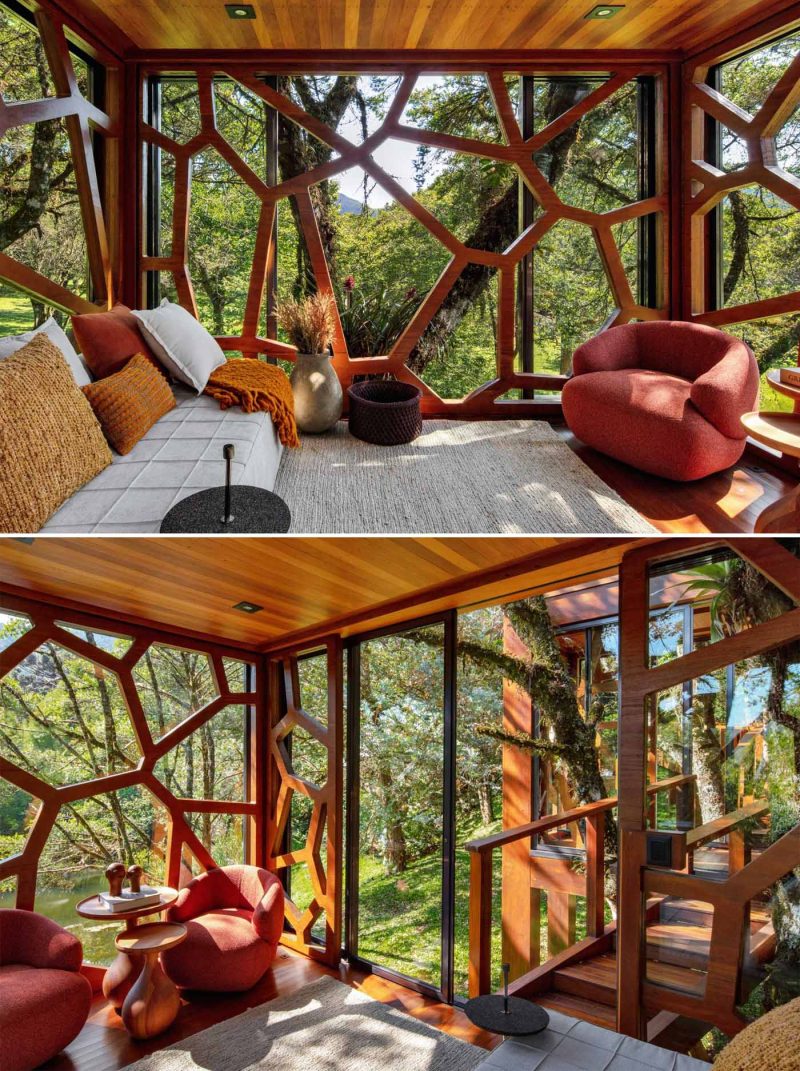 A Modern Tree House With Two Rooms