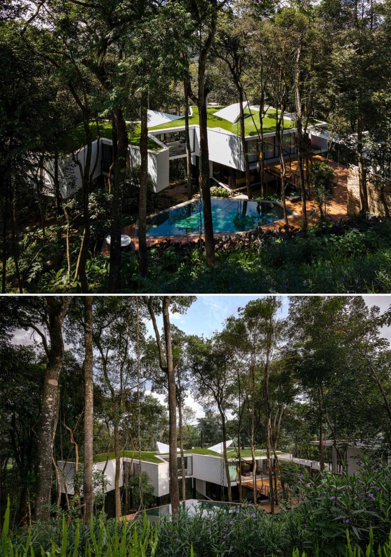 This Modern House Sits On Top Of Stilts In The Forest