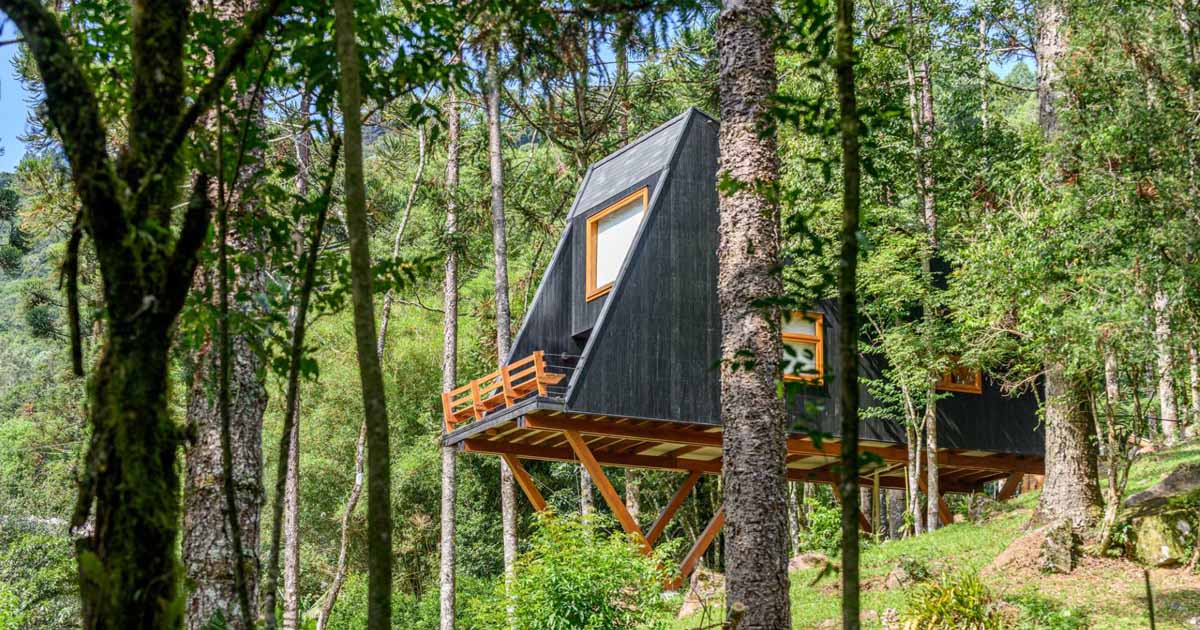 A Tree House That Feels Like It's Floating Inside The Forest