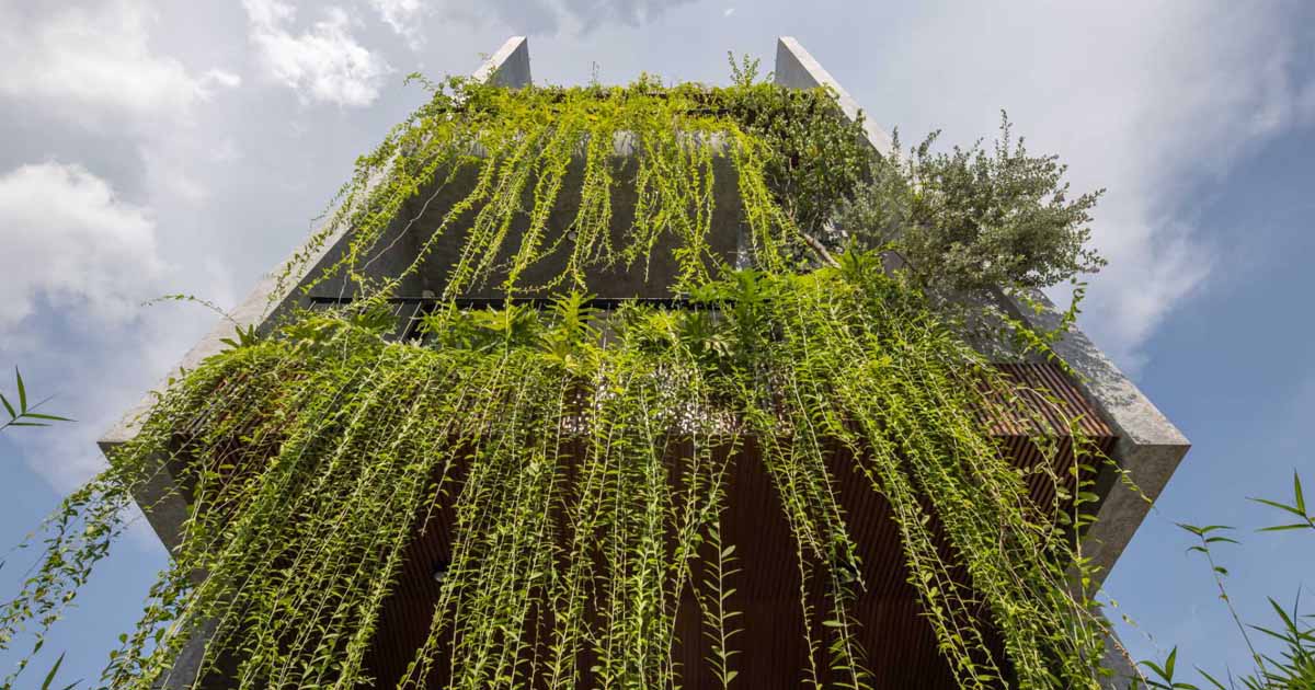 Cascading Plants Cover This Home In Vietnam