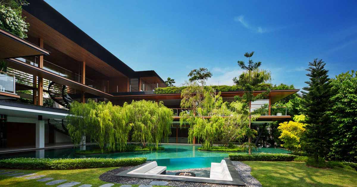 A Rain Tree Became The Centerpiece Of This Home's Design