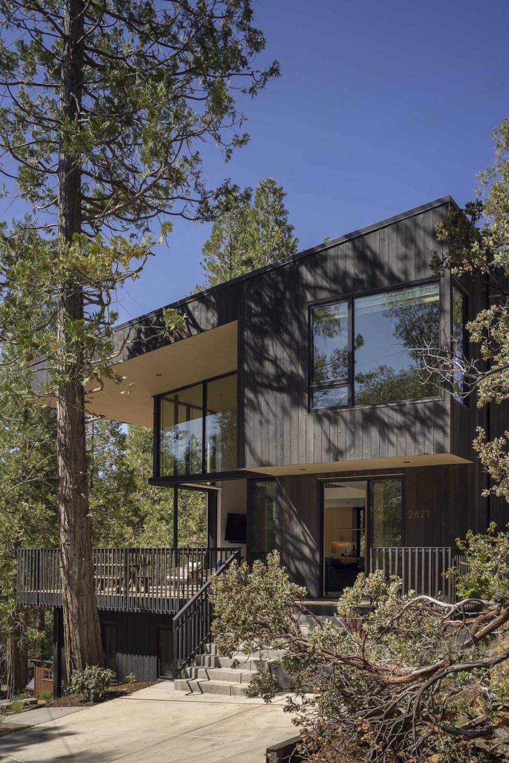 Dark Vertical Wood Siding Was Chosen As The Primary Exterior Cladding ...