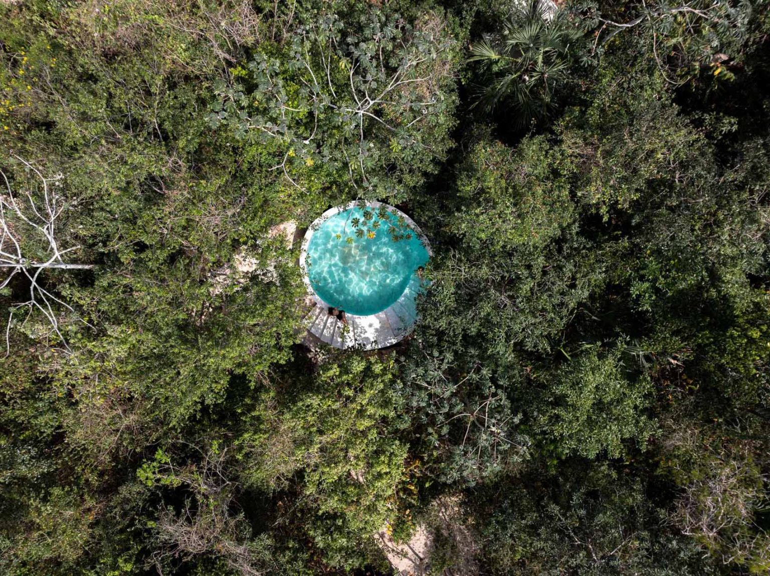 A Collection Of Off-Grid Cabins Hidden Deep In The Jungle