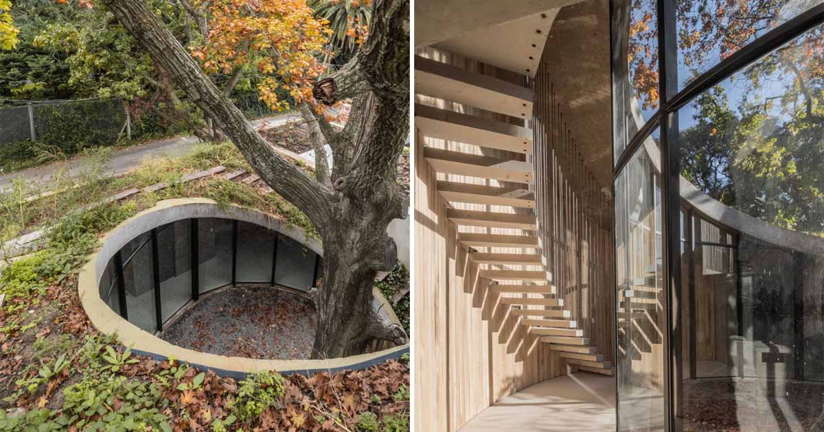 This House Was Built Around A 100-Year-Old Oak Tree