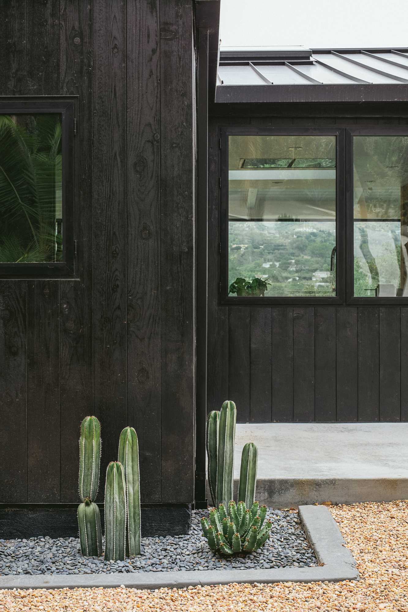 Desert-inspired landscaping for a modern house with black exterior.