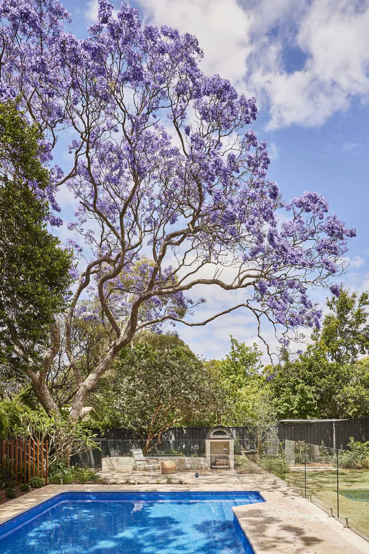At the rear of the home, there's a pergola that extends the living spaces and provides a connection with the backyard and swimming pool, as well as a view of the Wisteria tree with its purple flowers.