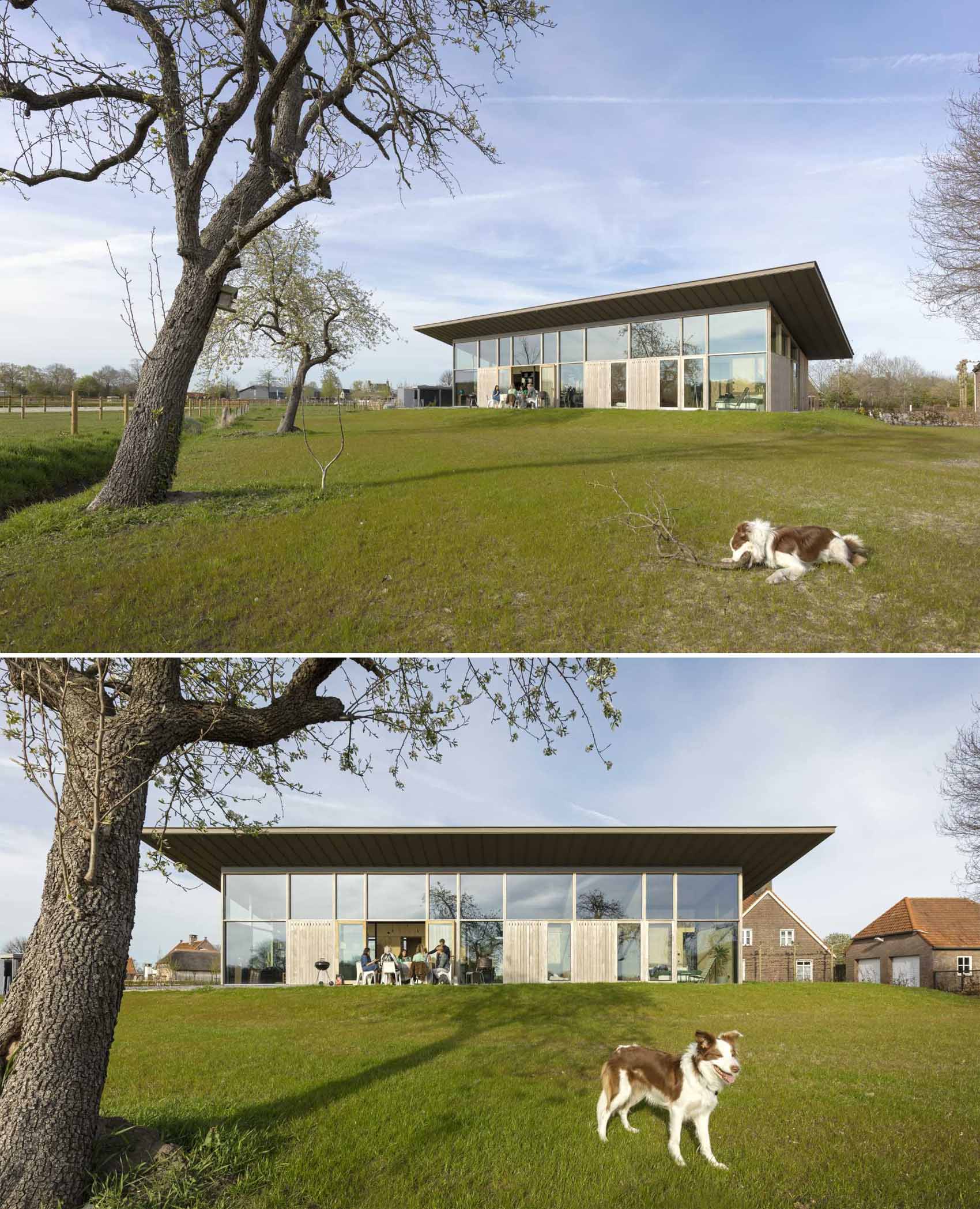 This modern home has a tall glass facade and a extended sloped roof.