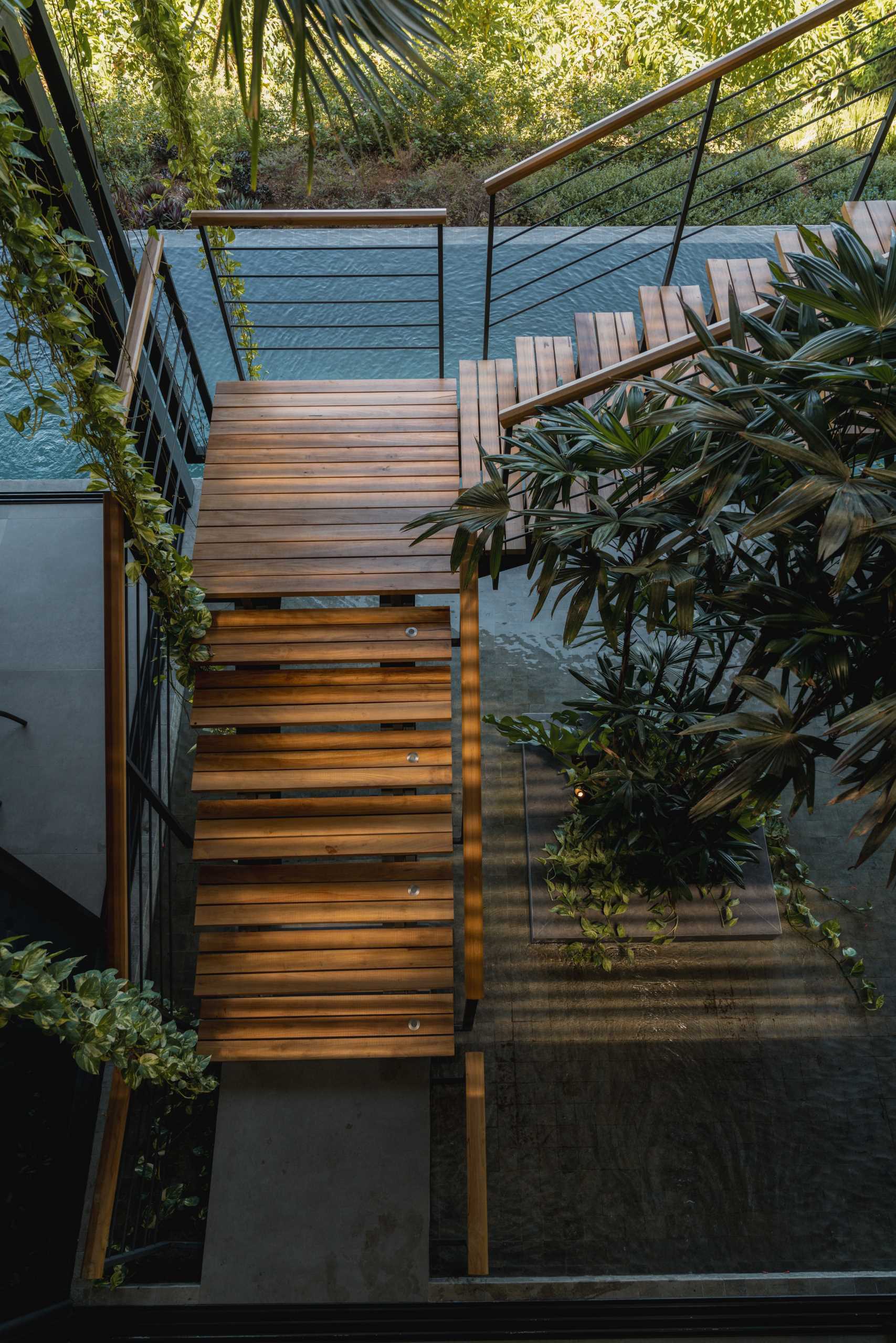 The two levels of this modern tropical home are connected by an open staircase in a central atrium, suspended over a shallow extension of the pool.