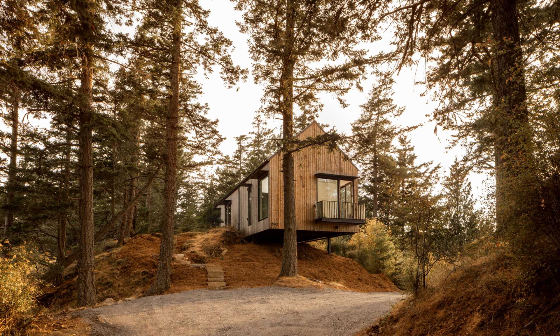 A modern island home with a cantilevered design, wood siding, and a standing seam metal roof.