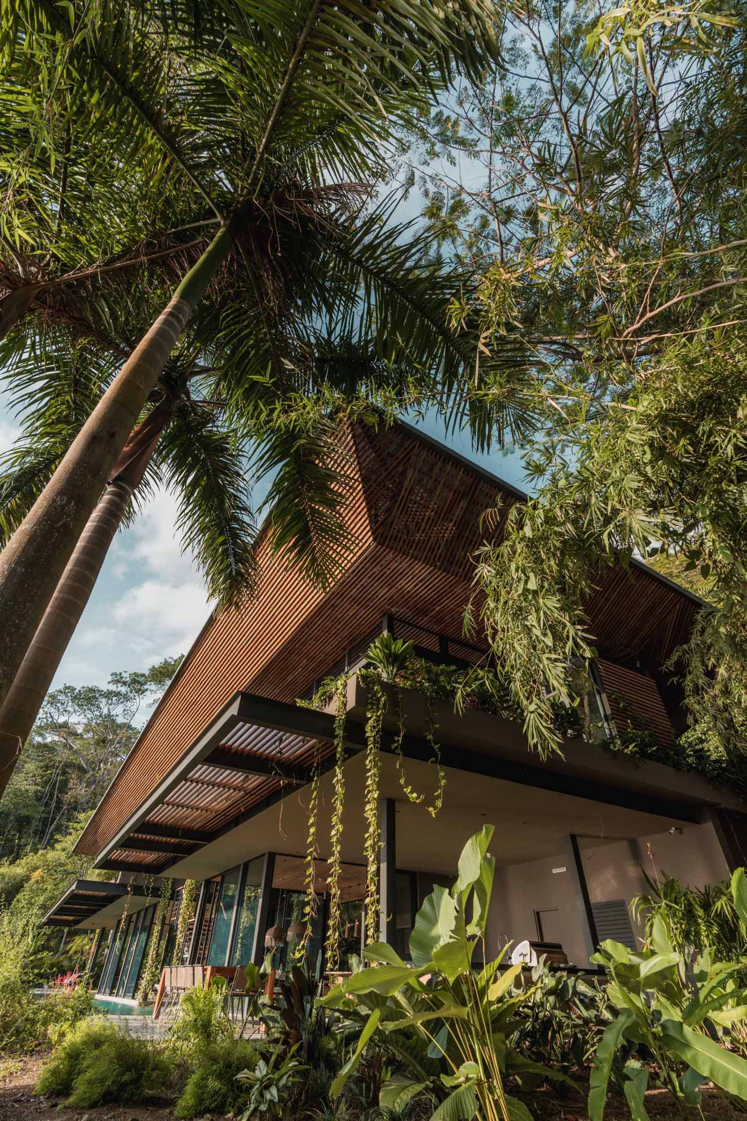 A closer look at the roof of this modern tropical home reveals soft light that permeates through the perforated panels, translucent sheets, and an array of teak louvers, creating an ambiance reminiscent of a dense jungle.