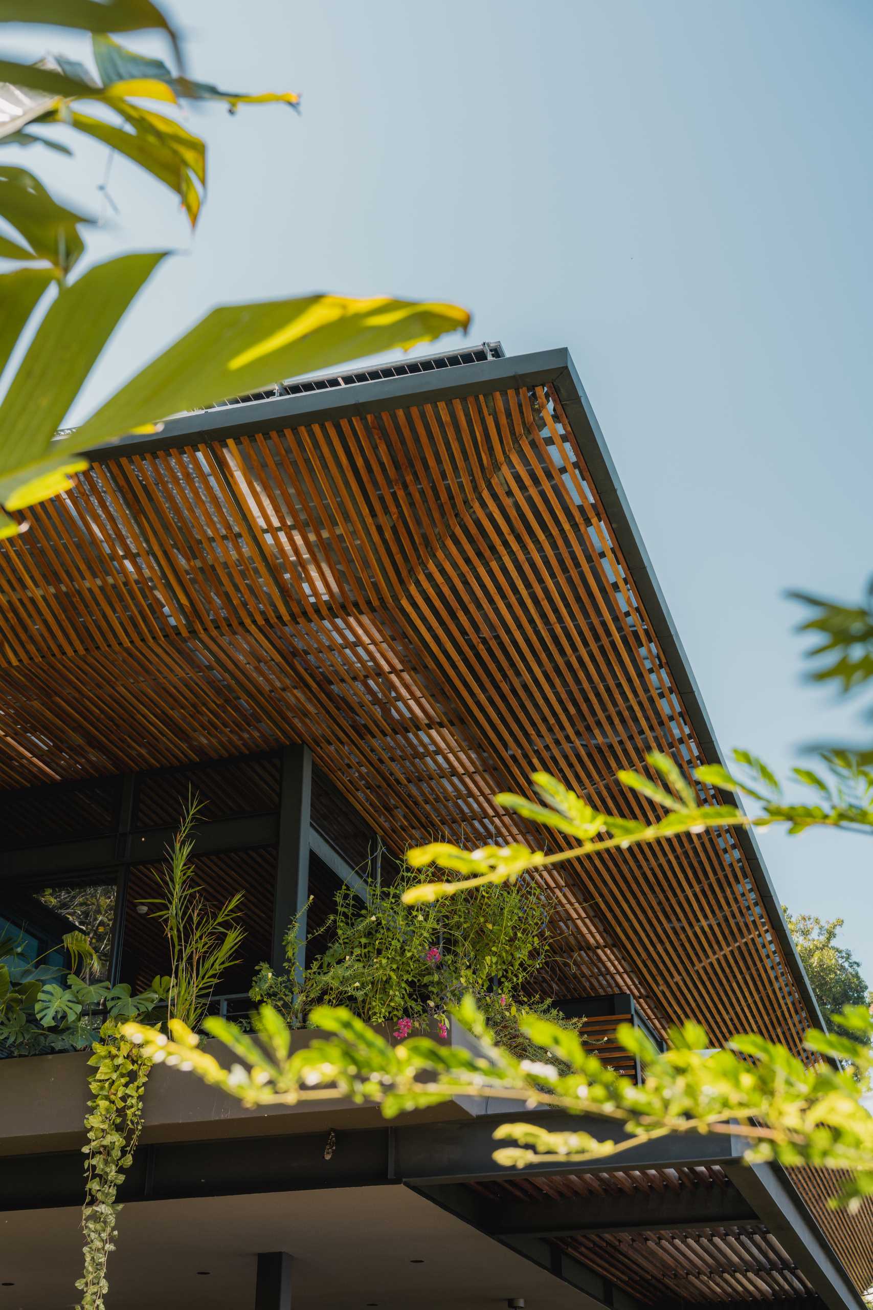 A closer look at the roof of this modern tropical home reveals soft light that permeates through the perforated panels, translucent sheets, and an array of teak louvers, creating an ambiance reminiscent of a dense jungle.