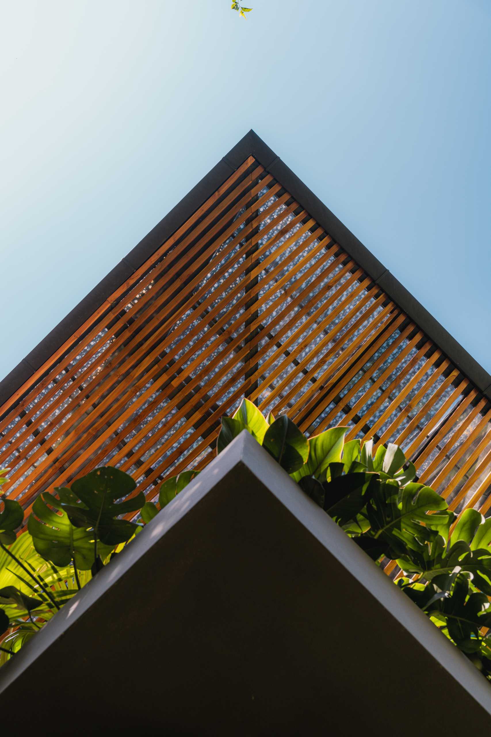 A closer look at the roof of this modern tropical home reveals soft light that permeates through the perforated panels, translucent sheets, and an array of teak louvers, creating an ambiance reminiscent of a dense jungle.