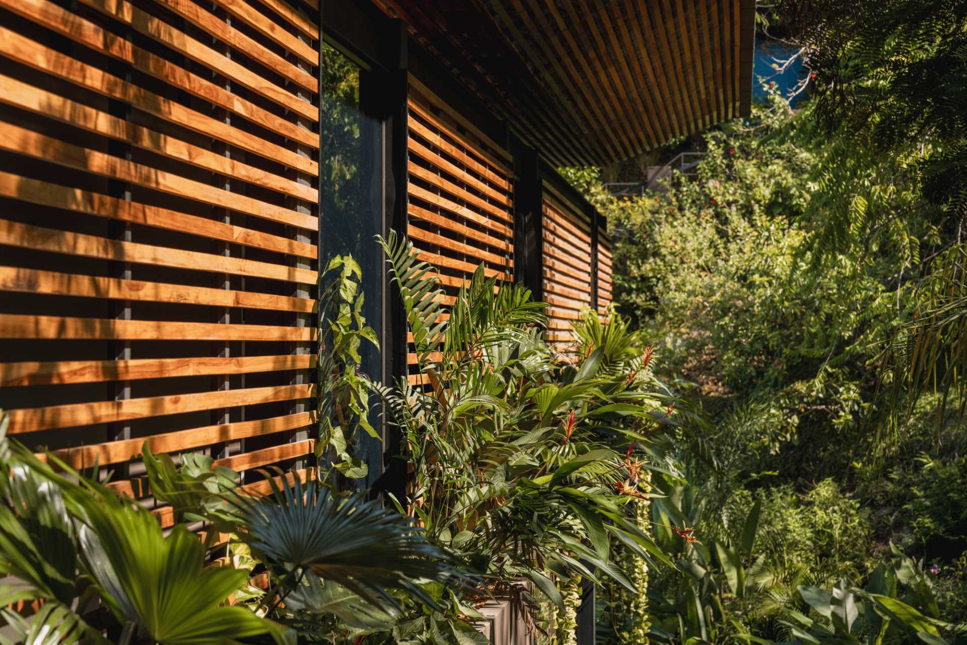 The wood slats featured on some of the walls help this modern home blend into its tropical surroundings.