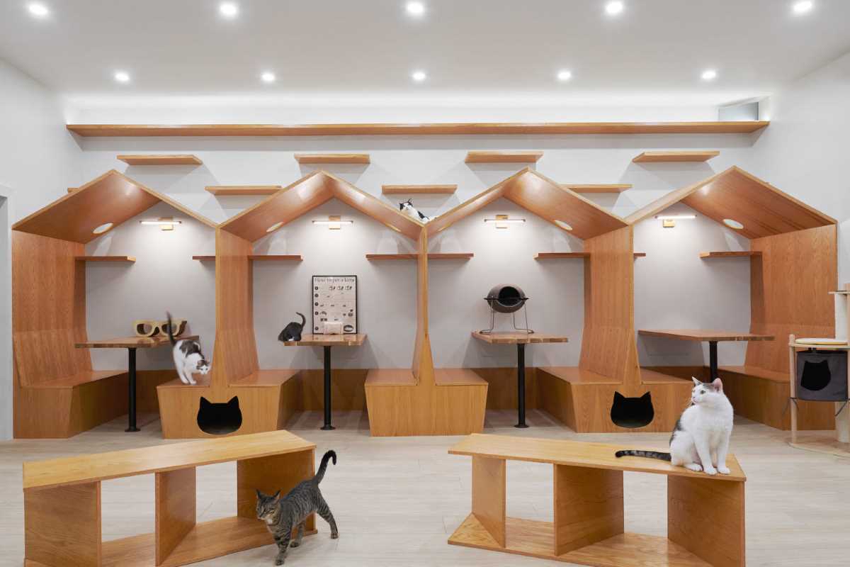 The interior of Meow Parlour, a modern cat cafe in New York.