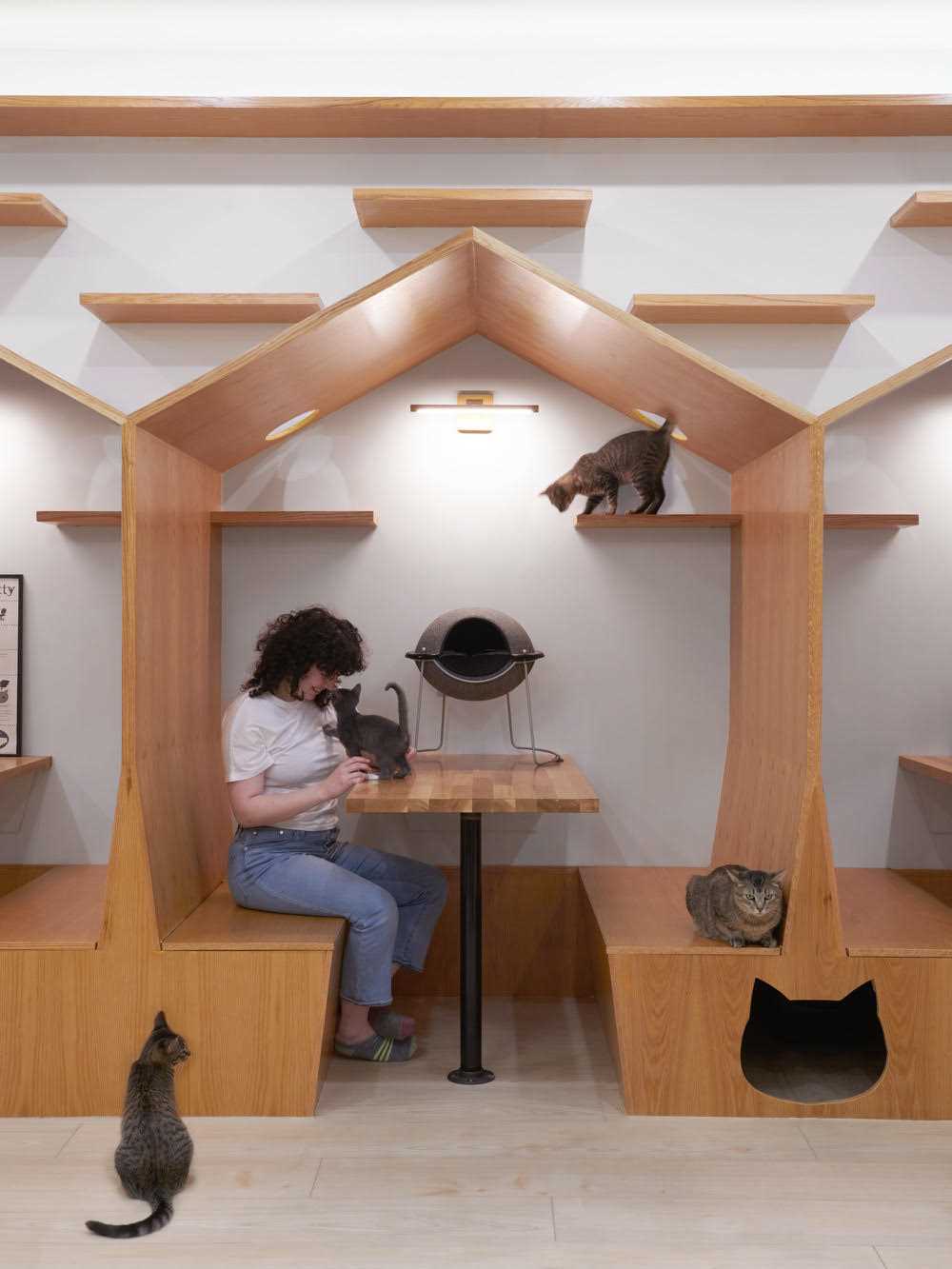 The interior of Meow Parlour, a modern cat cafe in New York.