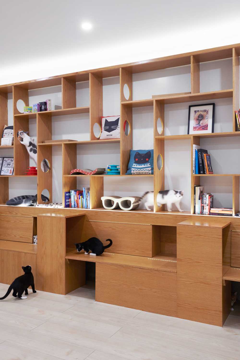 The interior of Meow Parlour, a modern cat cafe in New York.