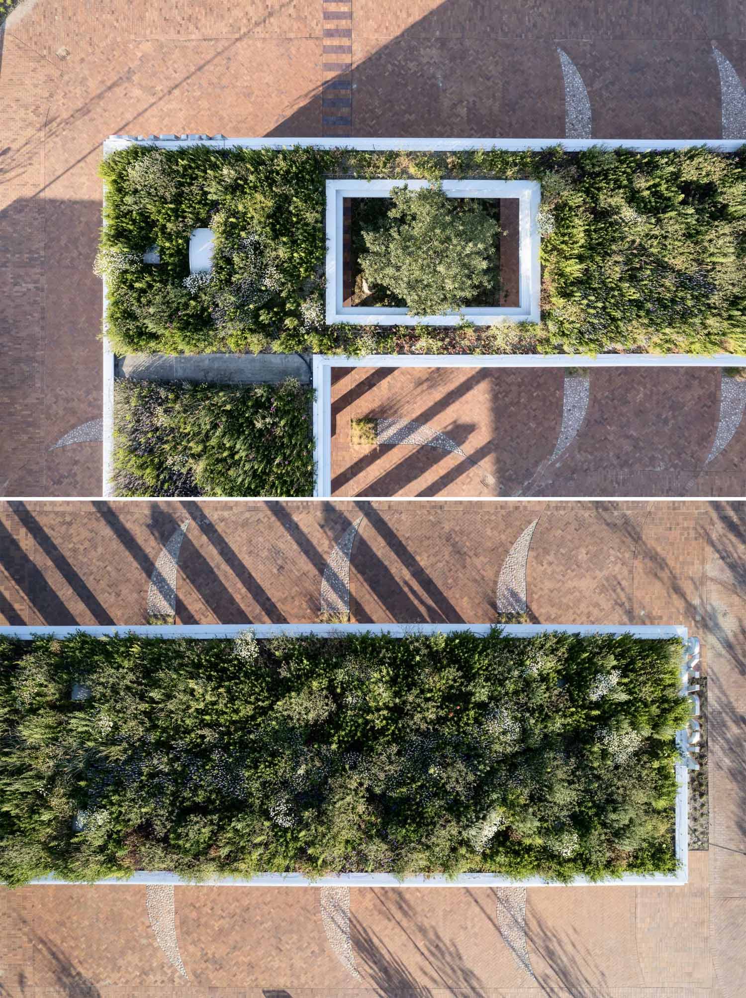 A contemporary charging station that includes a wood structure and a green roof.